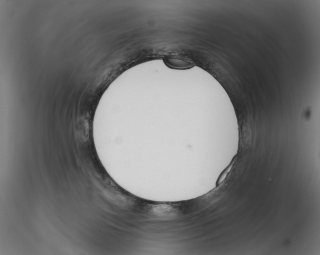 X0000115490183200912041024