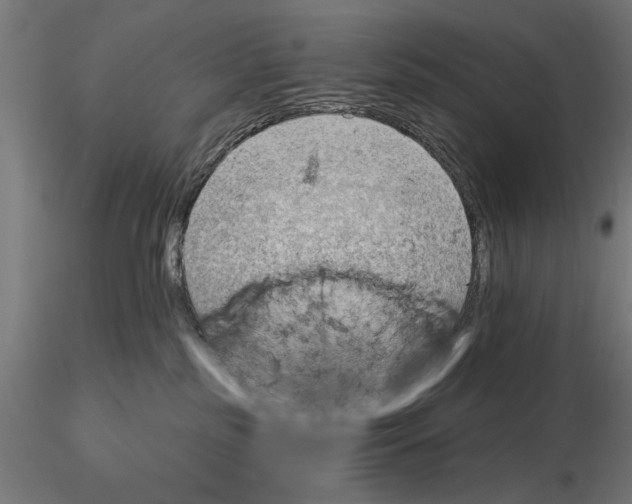 X0000115490185200912041024