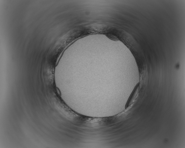 X0000115490186200912041024