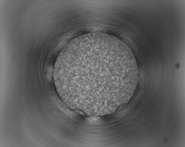 X0000115490189200912041024