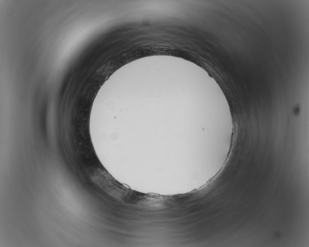 X0000115490190200912041024