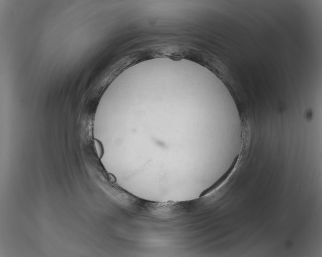 X0000115490191200912041024