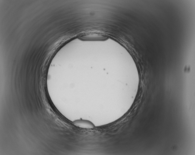 X0000115490193200912041023