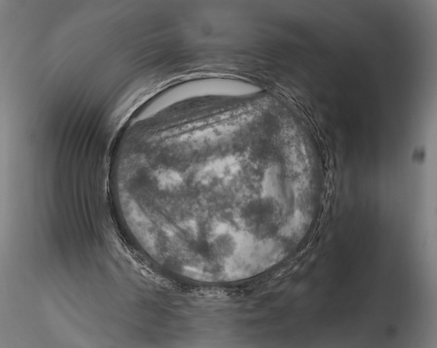 X0000115490194200912041023