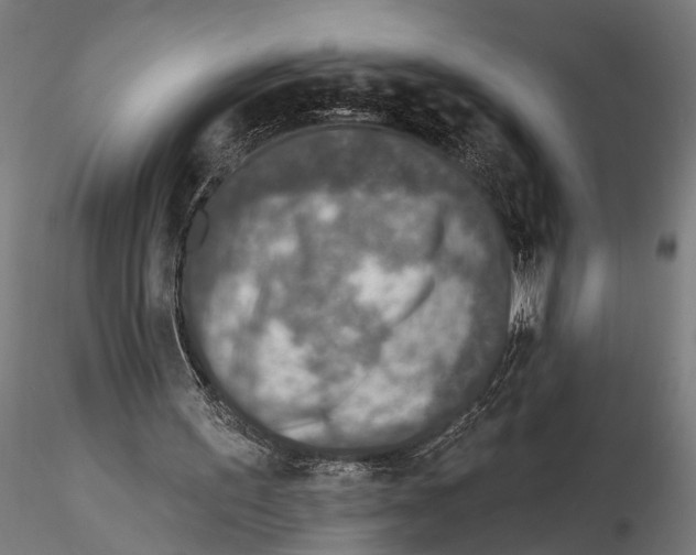 X0000115490195200912041023