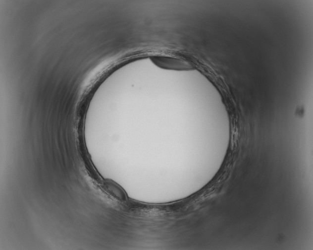 X0000115490197200912041023