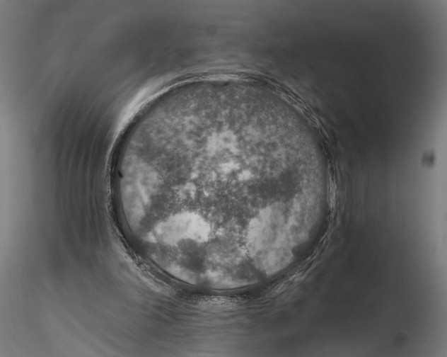 X0000115490198200912041023