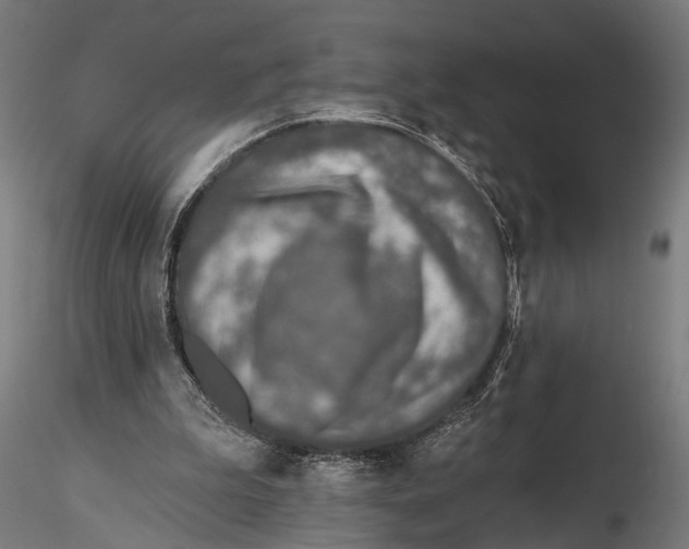 X0000115490199200912041023