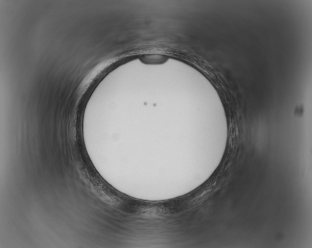 X0000115490200200912041023