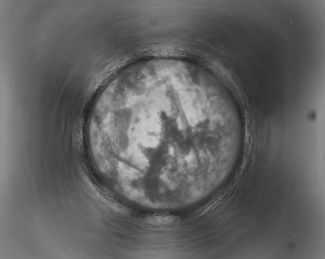 X0000115490202200912041023