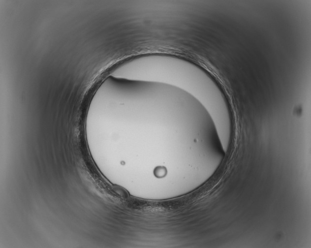 X0000115490203200912041023