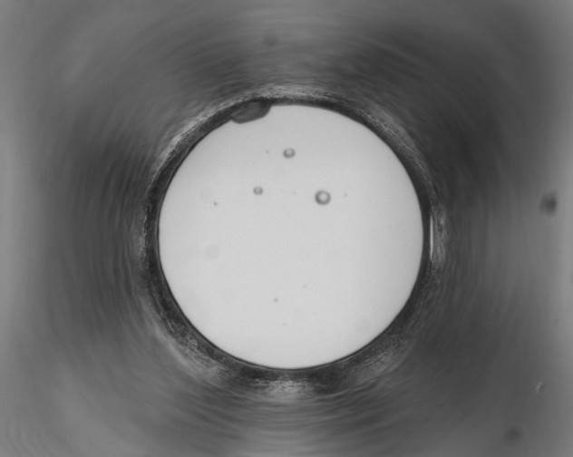 X0000115490204200912041023