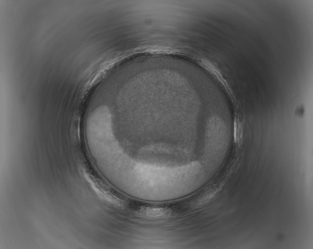X0000115490205200912041023