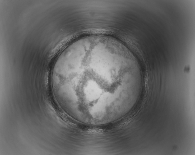 X0000115490206200912041023