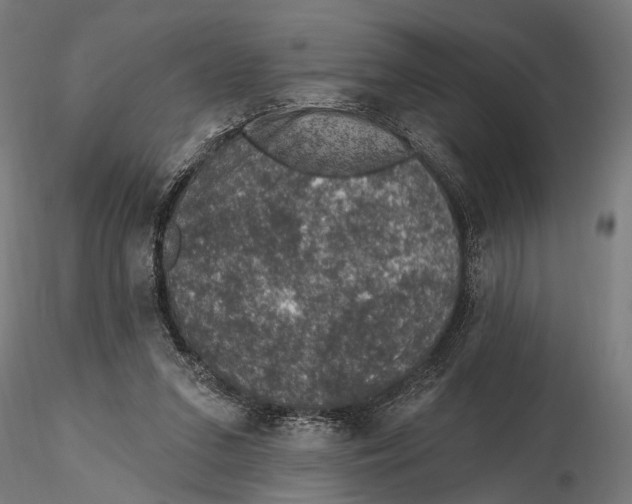 X0000115490207200912041023