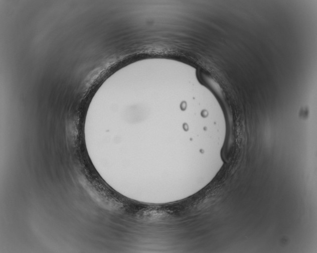 X0000115490208200912041023