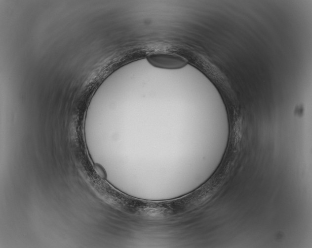 X0000115490209200912041023