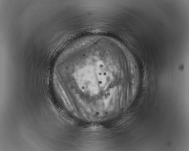 X0000115490210200912041023