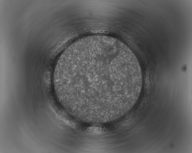 X0000115490211200912041023