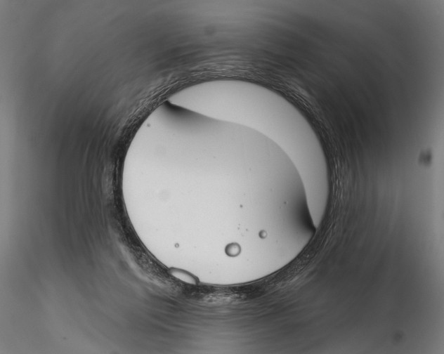X0000115490213200912041023