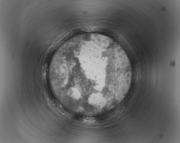 X0000115490214200912041023