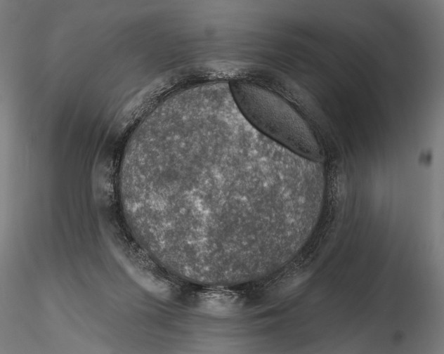 X0000115490215200912041023
