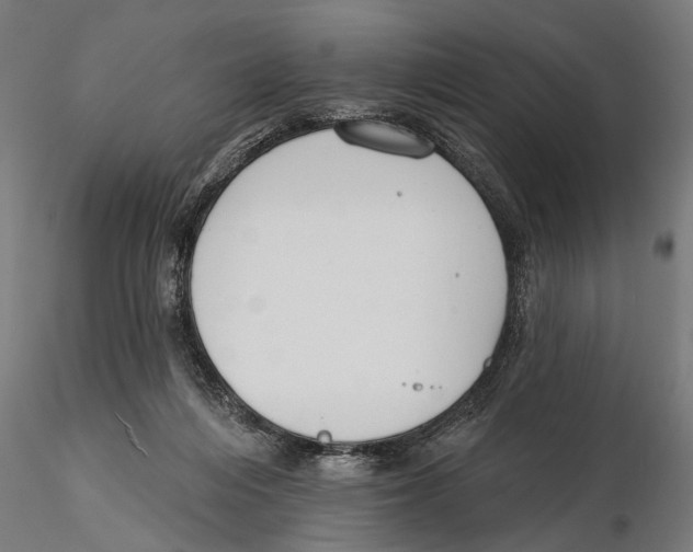 X0000115490216200912041023