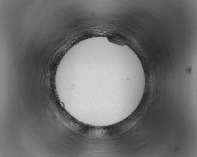 X0000115490217200912041023