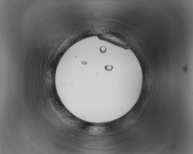 X0000115490220200912041023