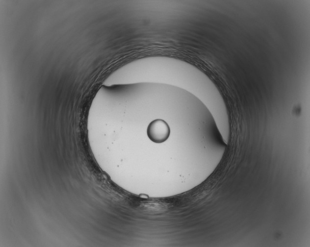 X0000115490221200912041023