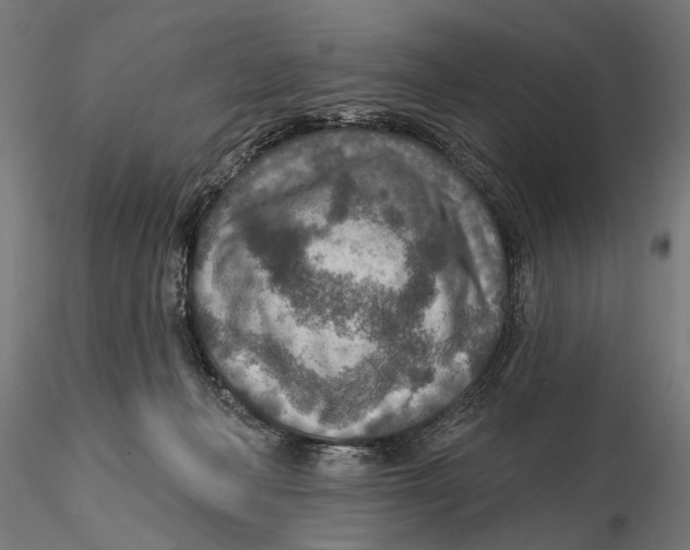 X0000115490222200912041023