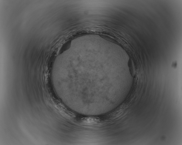 X0000115490223200912041023