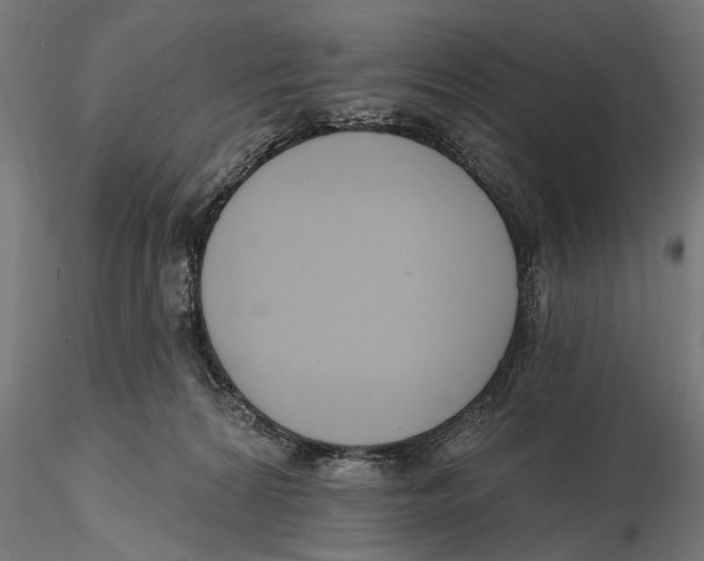 X0000115490224200912041023
