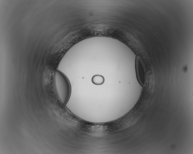 X0000115490225200912041023