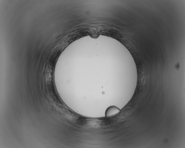 X0000115490226200912041023