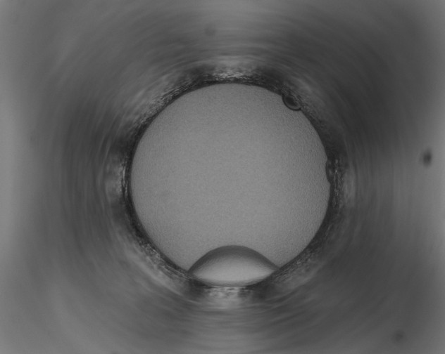 X0000115490227200912041023