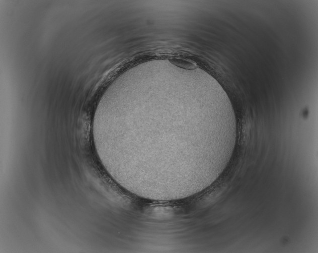 X0000115490228200912041023
