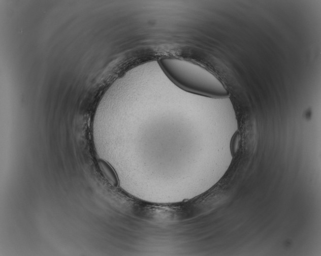 X0000115490229200912041023