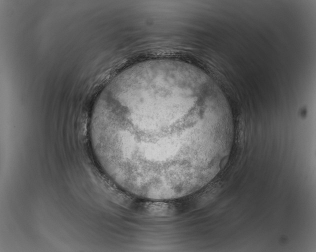 X0000115490230200912041023