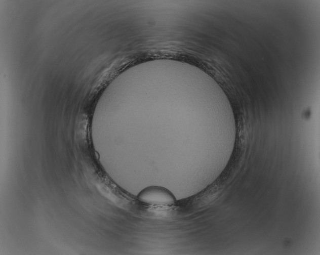 X0000115490231200912041023