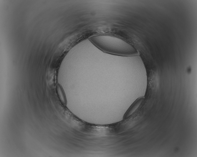X0000115490233200912041022