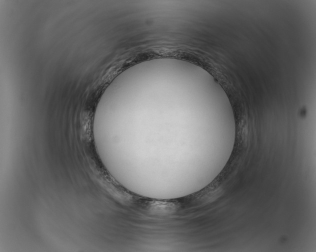 X0000115490234200912041022