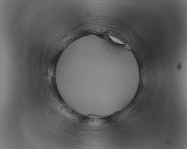 X0000115490235200912041022