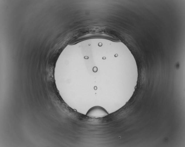 X0000115490236200912041022