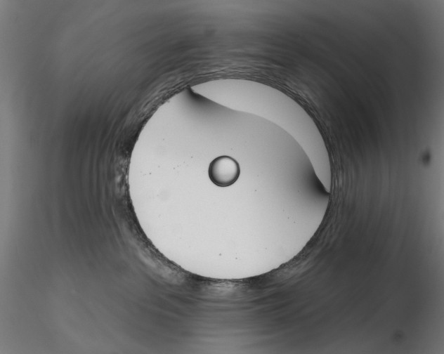 X0000115490237200912041022