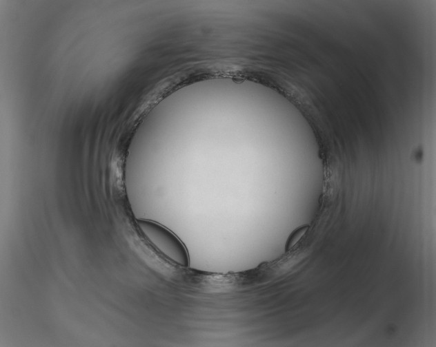 X0000115490238200912041022