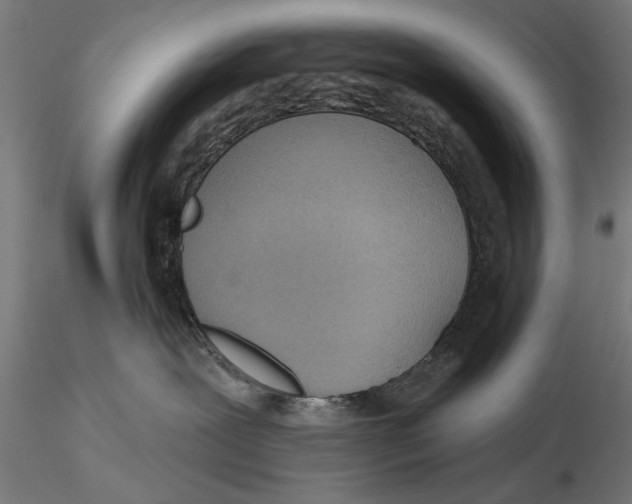 X0000115490239200912041022