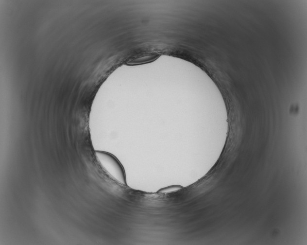 X0000115490240200912041022