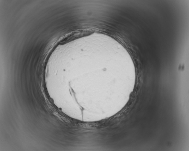X0000115490241200912041022