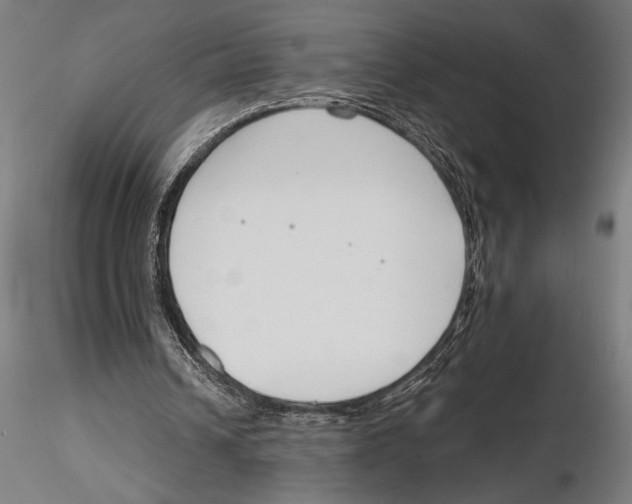 X0000115490242200912041022